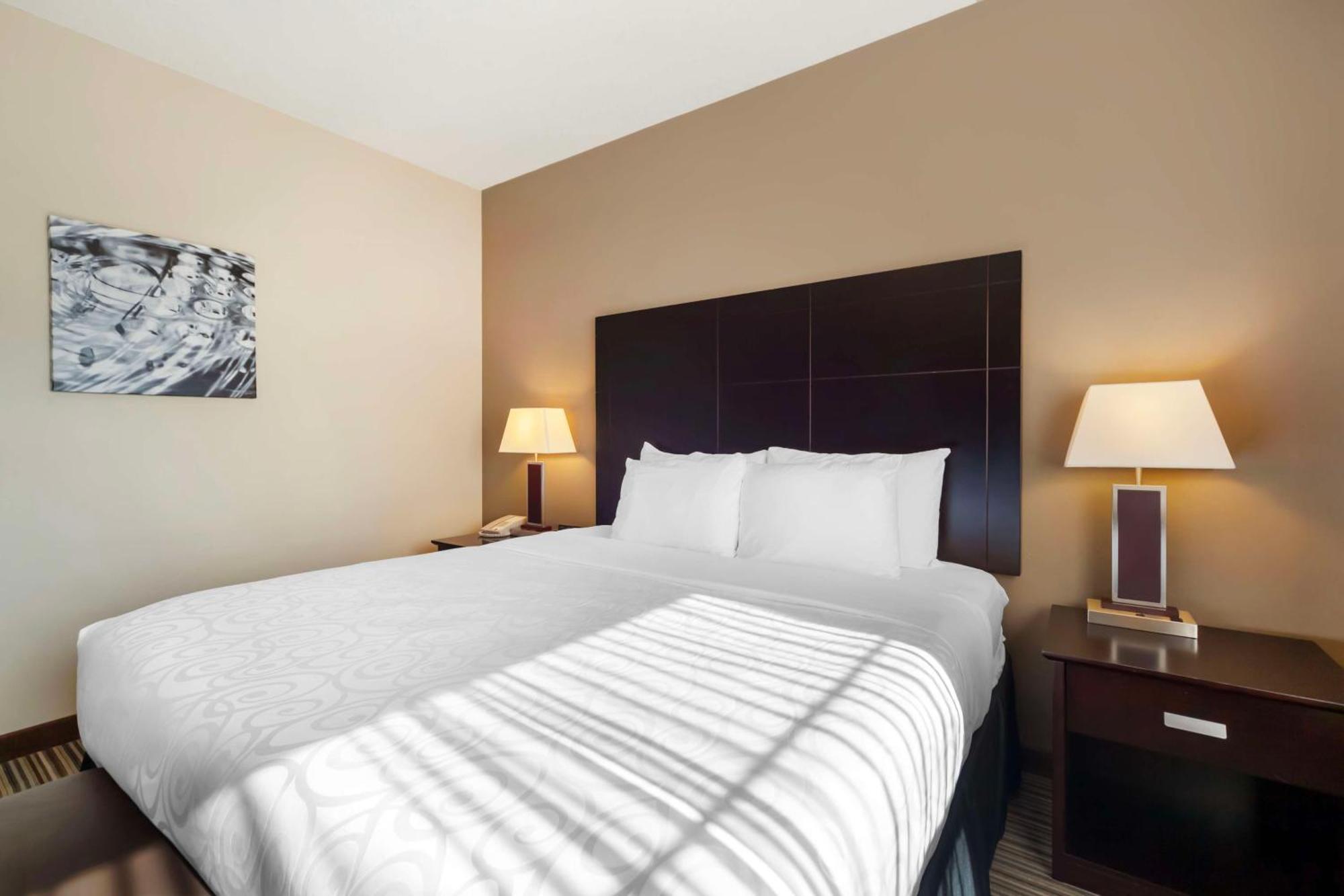 Best Western Plus Peace River Hotel & Suites Eksteriør billede